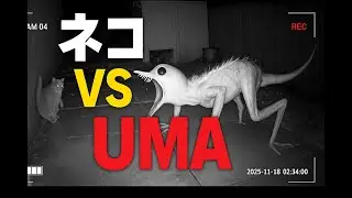 AI動画「ネコ VS UMA」