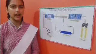 Soil Moisture Sensor Model