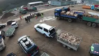 Brennholz für das Ahrtal