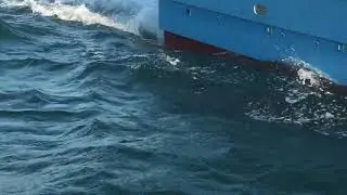 Weymouth.Dolphin