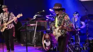 Randy Hansen - Freedom (live Vienna 2016)