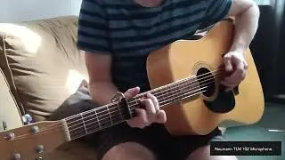 C.G. Winner W-730 Acoustic Guitar