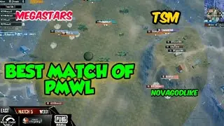 INDIAN TEAMS KILLING EVERYONE ONE IN PMWL W3D1 | TSM ENTITY DOMINATION IN PMWL |MORPH ONE HP CHICKEN