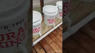 Setting Up a Dutch Bucket System - Part 1