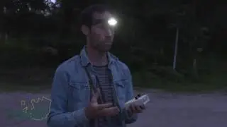 Rob van Dijk - Nachtdieren