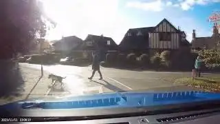 Suicidal Pedestrian Doesn't Look Before Crossing. UK Bad Drivers, Road Rage, observations.