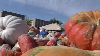 Punkin Day in Floydada