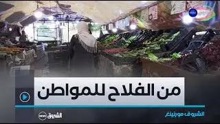 الشروق مورنينغ | من المنتج الى المستهلك.. مستثمرات فلاحية تعرض منتجاتها مباشرة للمواطن