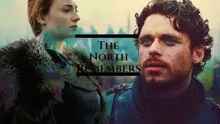 House Stark | Dynasty
