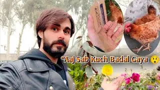 Aaj Ke Din Bohtt Mza Aya😲 | Ghar Mein Garden Plantation🌾 Aur Murghiyan Sale Karne Ka Bara Faisla&rdquo;🐔