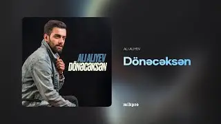 Ali Aliyev &mdash; D&ouml;nəcəksən (Rəsmi Audio)
