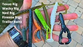 My Go-To Soft Baits for Bass and Other Species (TRY THESE!)