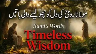 Timeless Words of Wisdom That Transform the Heart | Molana Rumi (RA)|  Islamic Motivation