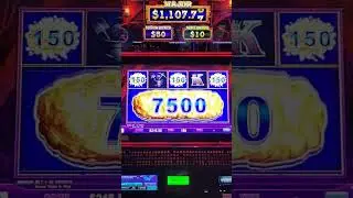 Dynamite went off properly 🔥 #pokies #win #slotmachine #gambling