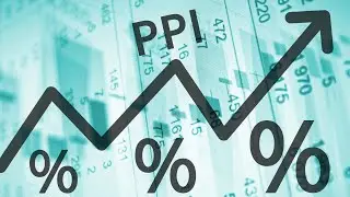 Economics AS&rsquo;Level(Producer Price Index and Some definitions on Employment)