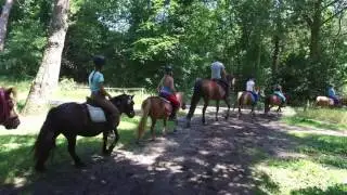 Ponykamp Dag 3 - Manege de Steenen Kamer