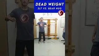 Учебное пособие по обучению Вин Чун Сил Лим Тао #martialarts #kungfu #mma #karate#chinese#selfdef...