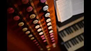 55. Merseburger Orgeltage - Konzert in der Michaeliskirche Zeitz (17.09.2025)