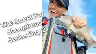 Sheephead Day 2