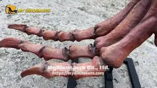 Massive T-Rex Foot Bone Replica - Perfect for Paleontology Displays