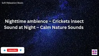 Soft Relaxation Music &ndash;  Nighttime ambience &ndash; Crickets insect Sound at Night &ndash; Calm Nature Sounds