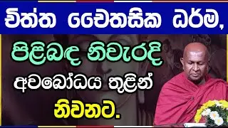 චිත්ත චෛතසික රූප ධර්මයන්ගෙන් සක්කාය දිට්ඨිය දුරු කරගමු | පූජ්‍ය තපෝවනයේ අරියධජ හිමි | 1007