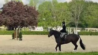 M&S Children&rsquo;s Hunter Classic 15-17(Round 2) - Old Salem Spring I, May 2022 - 2nd Place - Goldstar K
