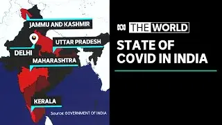 India: States and union territories worst-affected by coronavirus | The World