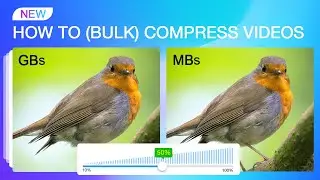 How to Compress Videos by 90% (Works on Batches & No Visible Quality Loss)