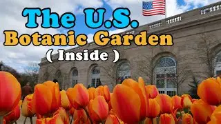 Tour Inside The United States Botanic Garden in Washington Dc | plants Museum | Facts kids | travel