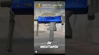 The Most UNDERRATED CS2 Skins...