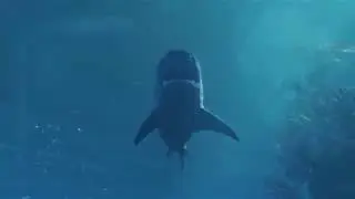 Maneater E3 2018 Shark RPG Gameplay Reveal Trailer