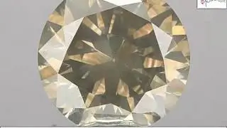 3.01ct 9.19mm Untreated Natural Fancy Grayish Yellow Color Diamond Round Loose