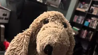 Pooch singing Wham’s “Last Christmas”