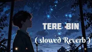 Tere Bin - Rahat Fateh Ali Khan Song | Slowed and Reverb Lofi Mix