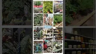 #Coming#soon#Jardin#de#plantes#diverses#prix#SSVLOG