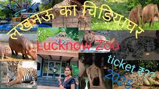 🥰लखनऊ का चिड़िया🦖🐊 2025 |Lucknow Zoo 🐅🐘All Animal,s🕊️