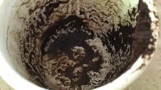 Virgo July 3, 2023 Coffee Cup Weekly Reading by Cognitive Universe