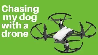Chasing my dog with a drone - Tello TLW004 vs Treeing Walker Coonhound