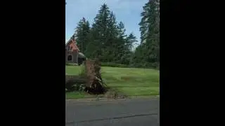 Woodland neighborhood storm damage