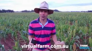 Virtual Farm - Virtual Reality Agricultural Experience