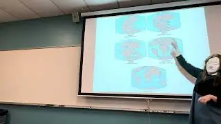Evidence Evolution Embryology Biogeography Molecular Biology Populations Mutation Natural Selection