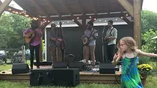 Carolina in the Pines - Tray Wellington Band - Red Wing Roots 2024