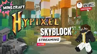 Hypixel Skyblock | Beginner Gameplay | Minecraft Tamil | #itsmedk