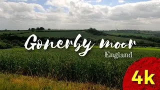 Gonerby Moor, Grantham,  Lincolnshire,  England.  Countryside in 4k UltraHD.  fields of wheat.