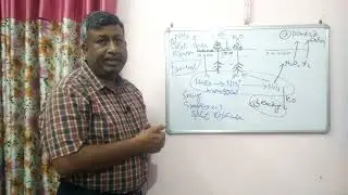 Losses and Management of Urea in Crops