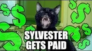 Talking Kitty Cat 68-Sylvester gets paid!!! Steve cash`s latest Video
