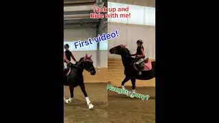 Groom, tack up, and ride with me! | first video! | Sugar Showjumping