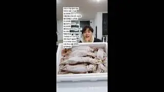 자연산대하 배오징어 입고!!!