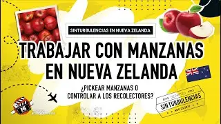 ¿Cómo es trabajar con manzanas en Nueva Zelanda? 🍎